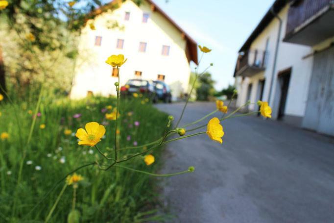 Ferienwohnung Huber Engelhartszell Exteriér fotografie