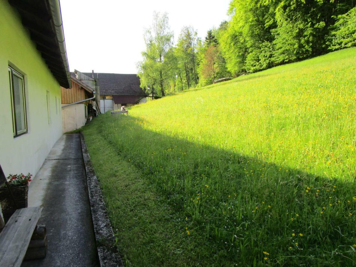 Ferienwohnung Huber Engelhartszell Exteriér fotografie